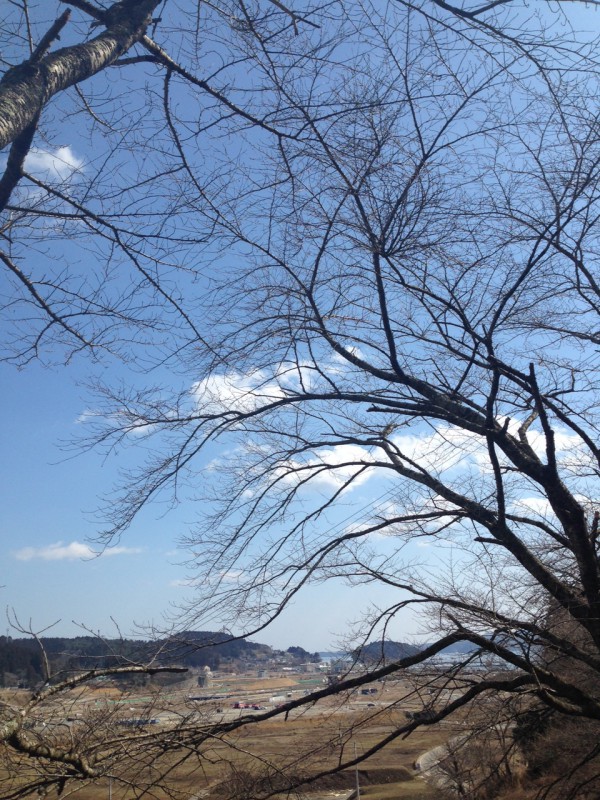 20140309_124854.jpeg