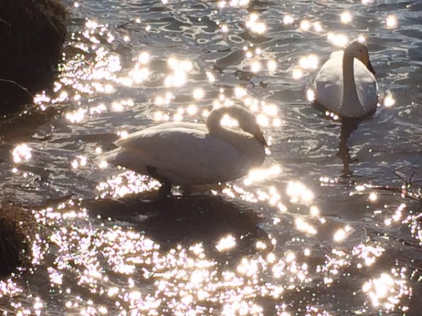 20140311_061439.JPG